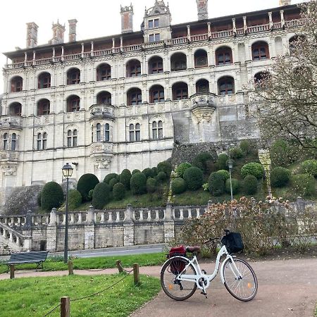 Gite Blois Chatel Exteriör bild