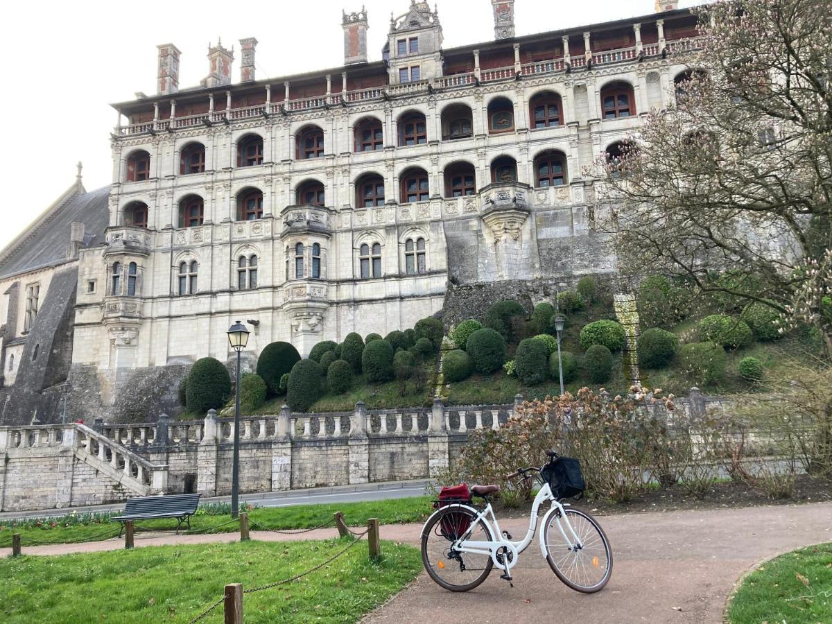 Gite Blois Chatel Exteriör bild